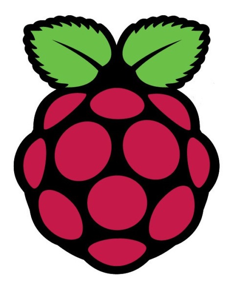 Raspberry Memoria Micro Sd 16 Gb Con Debian